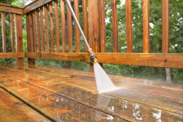 Best Pressure Washing Services for Businesses  in Blue Mountain, MS